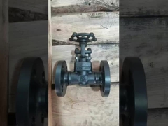 วาล์วประตูเหล็กเหล็กเหล็กเหล็กเหล็กเหล็กเหล็กเหล็กเหล็กเหล็กเหล็กเหล็กเหล็กเหล็กเหล็กเหล็กเหล็กเหล็กเหล็ก